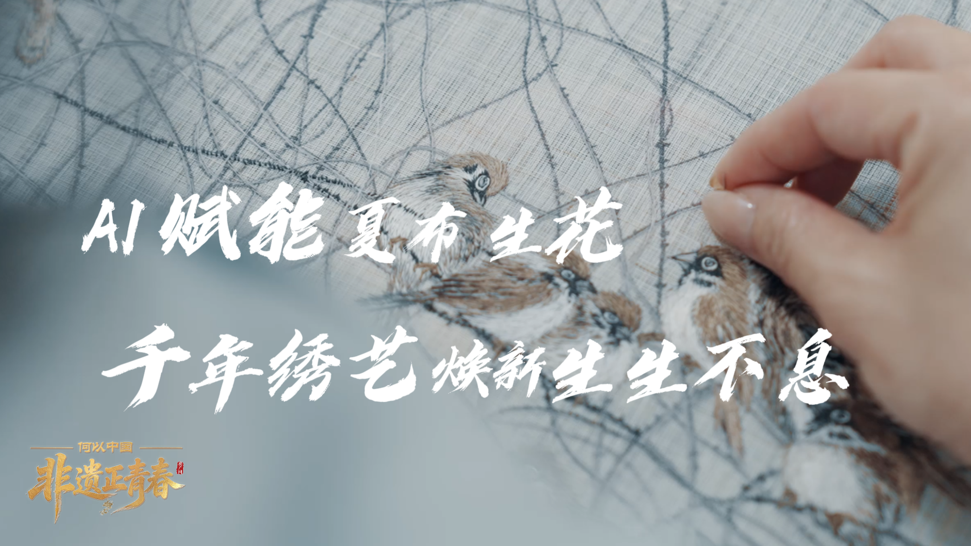 从电竞到短剧:成都数字文创产业为何吸引台湾青年目光?
