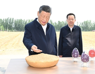 女生找工作被问如果想追你呢