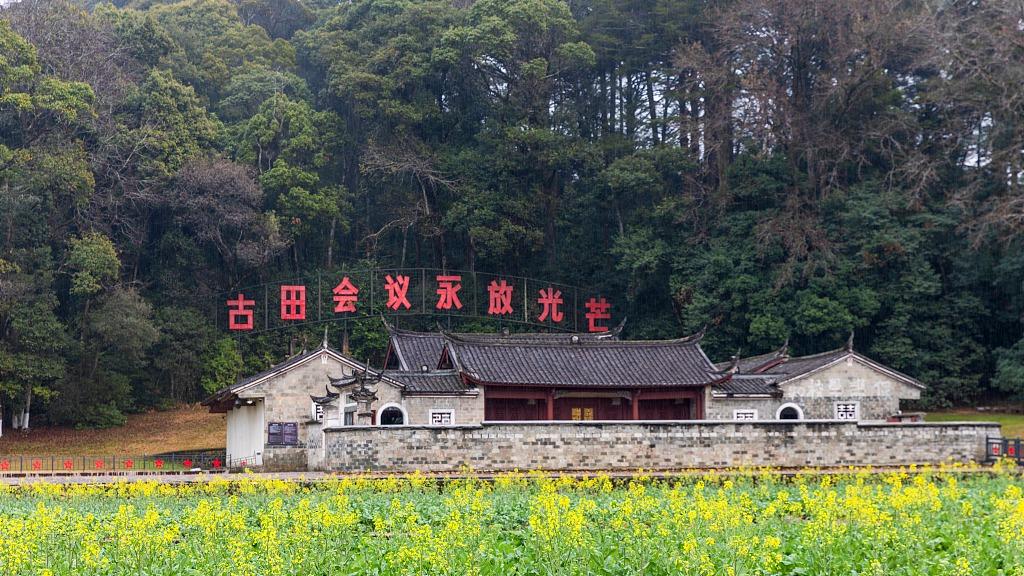 时政微视频丨拳拳赤子心