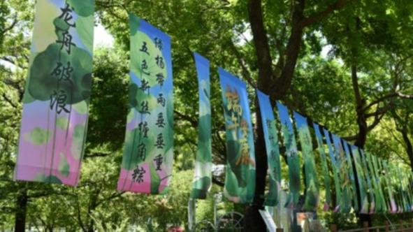 体操亚锦赛亚青赛:中国男队收获6枚金牌