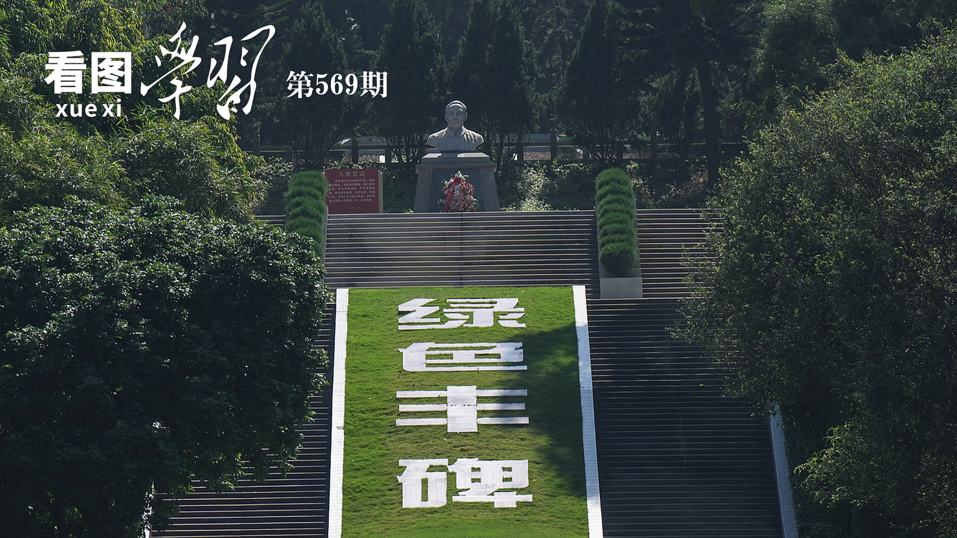 免费在线观看