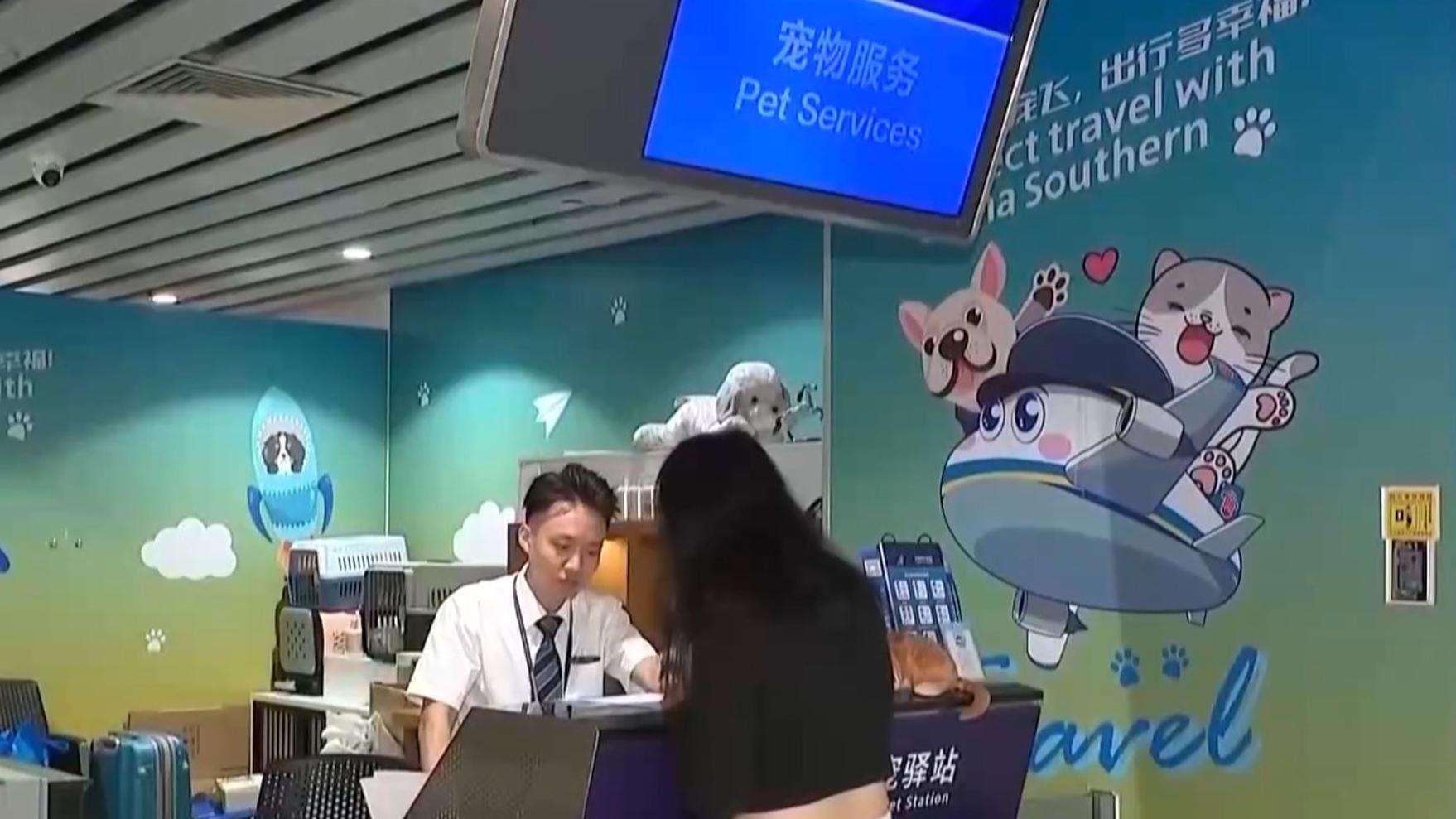 阿娇复胖