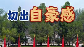 海量高清资源