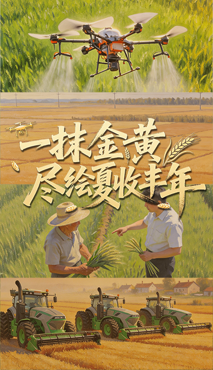 为什么要进行联合利剑演习