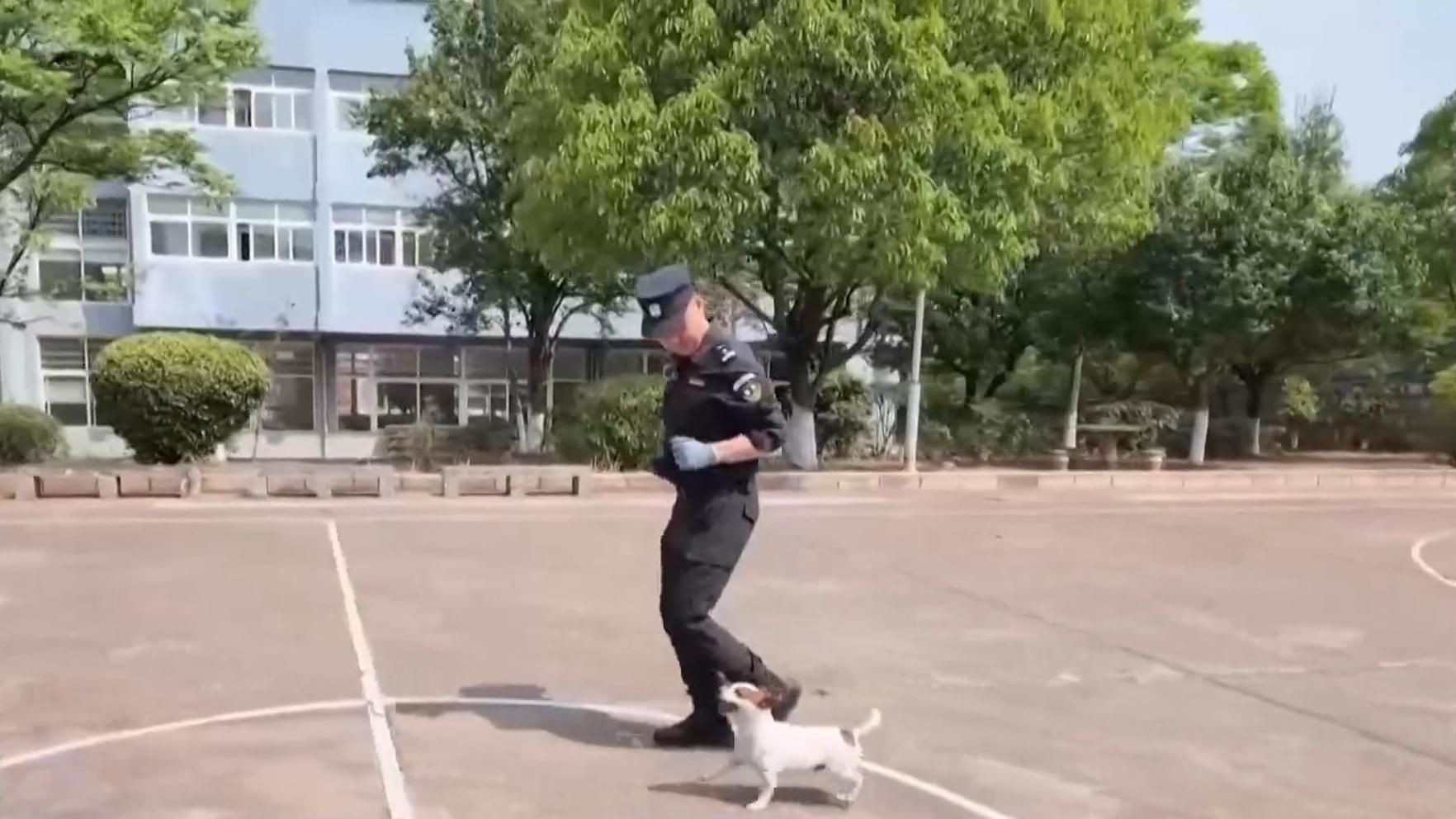 系列新品发布会