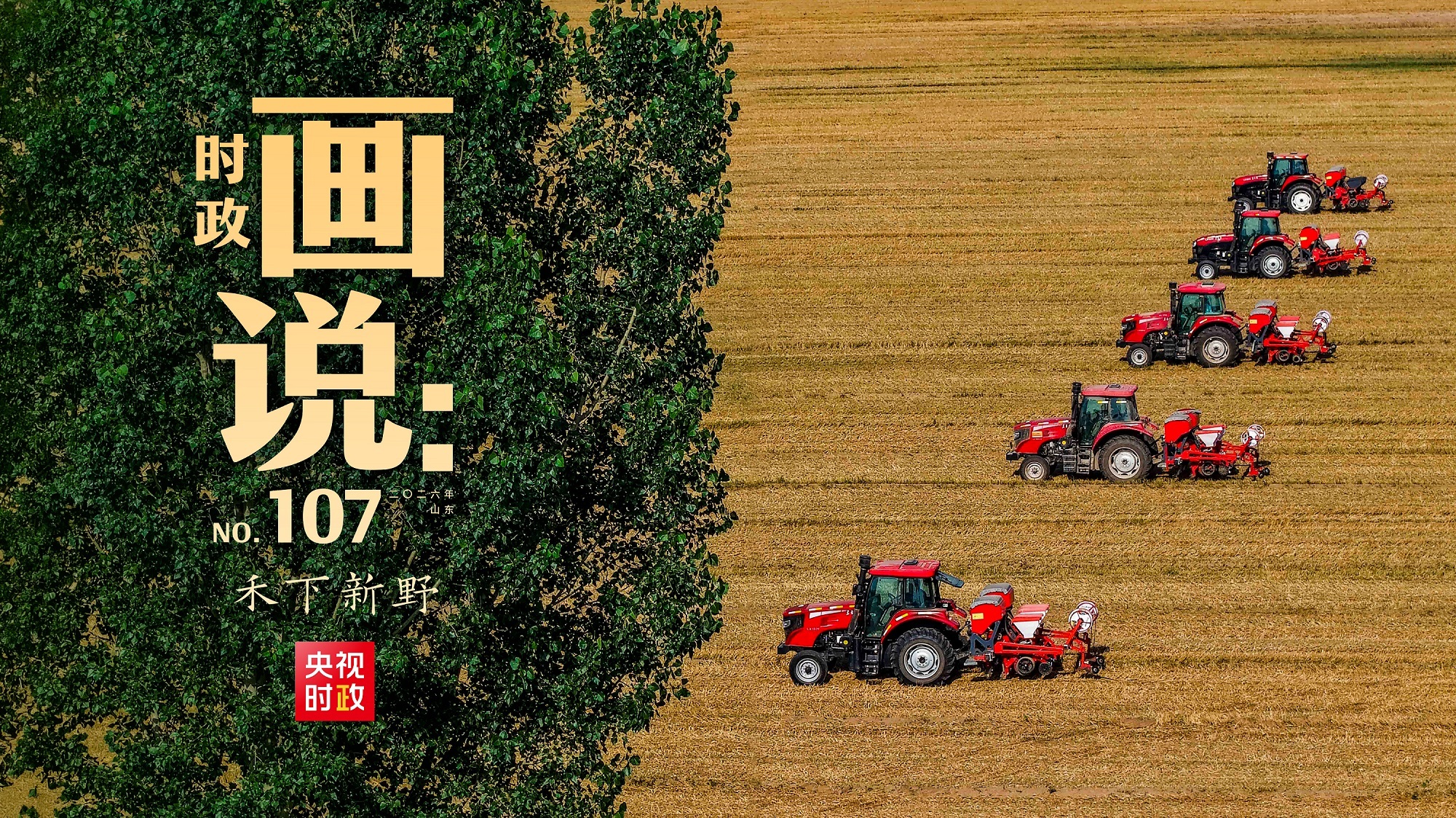 2025年我国水运多项指标稳居世界第一