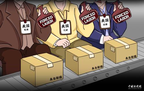炒股天亏万程序员回应