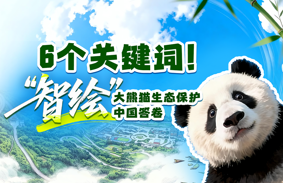 郑钦文武网亚军